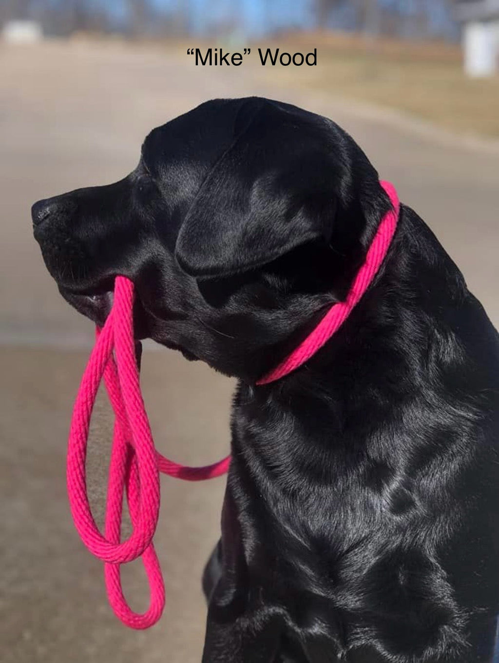 Slip Leads