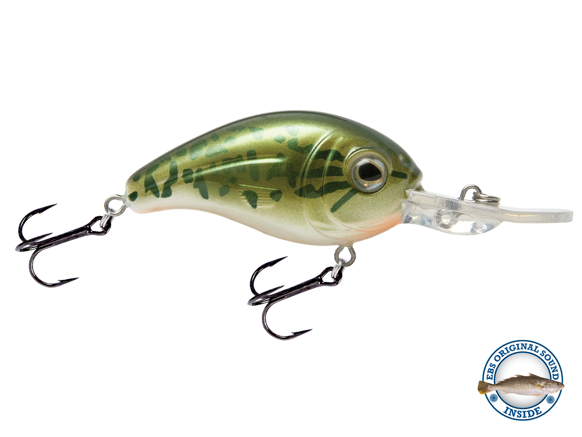 Dive Master Jr 8