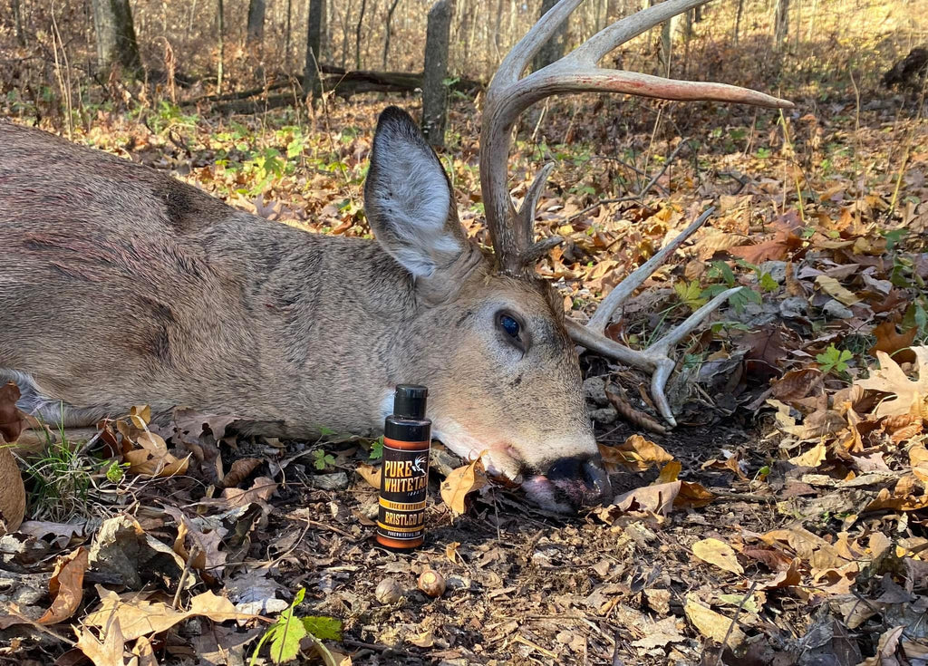 Bristled Up Rutting Buck Urine - Aggressive Buck Urine for Peak Rut Territory Challenge