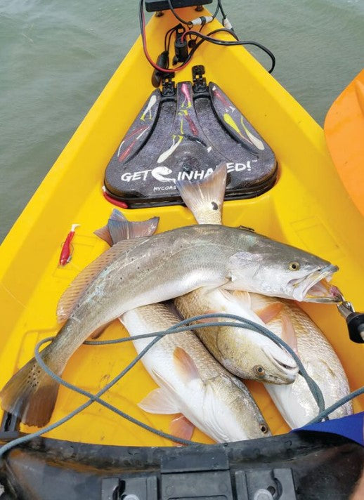 4" Pearl OR 5" Pearl With Built-In Tail Rattle