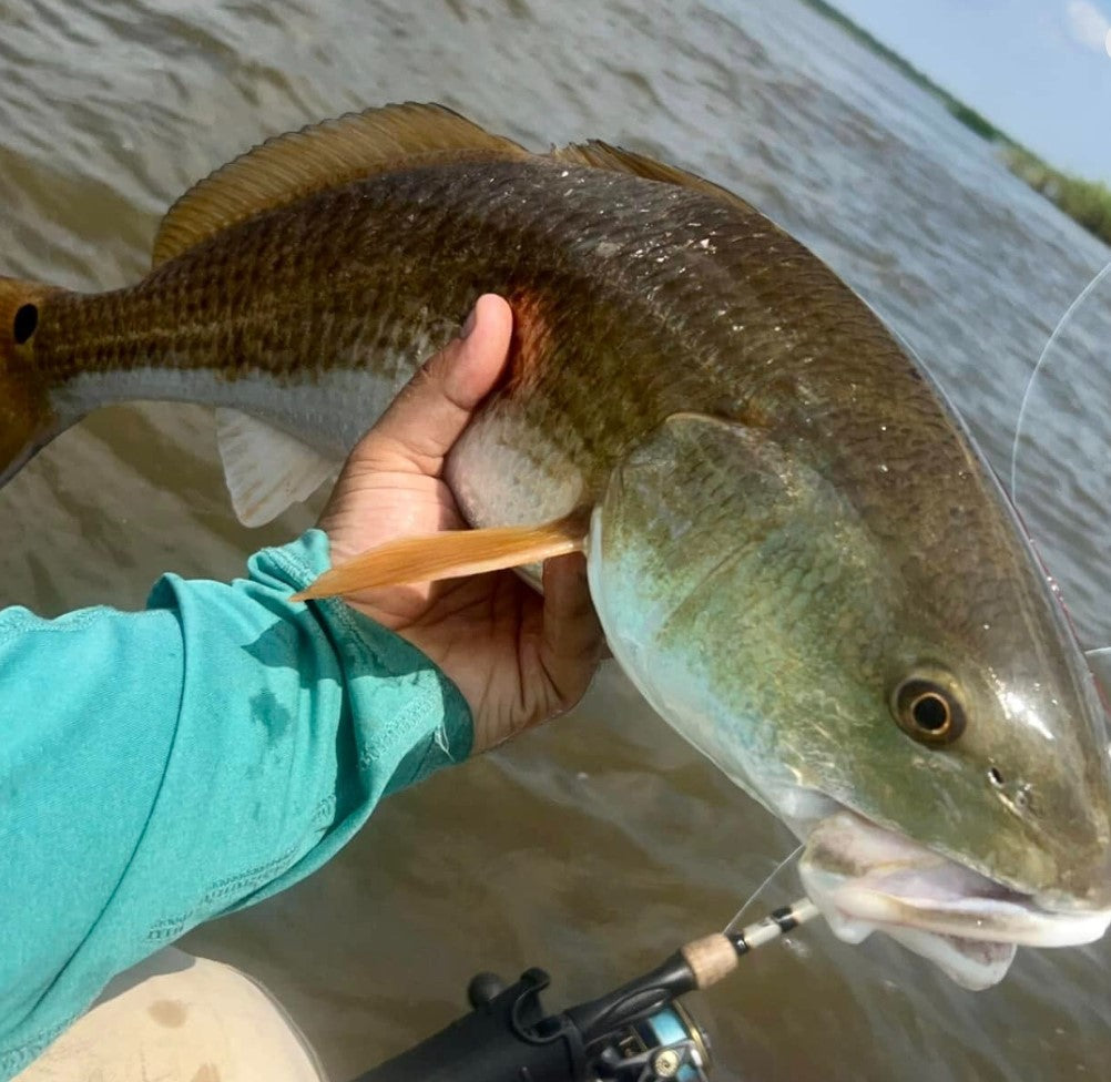4" Bone Ice With Built-In Tail Rattle