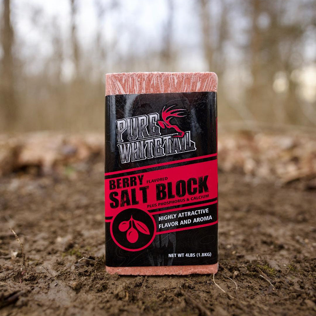 Berry Salt Block