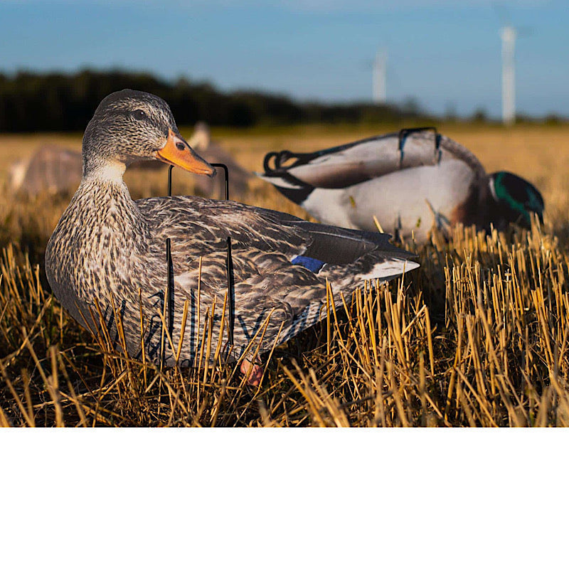 Pro II Lite Mallards