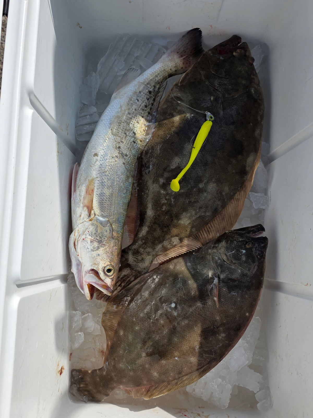 4" Pink Ice With Built-In Tail Rattle